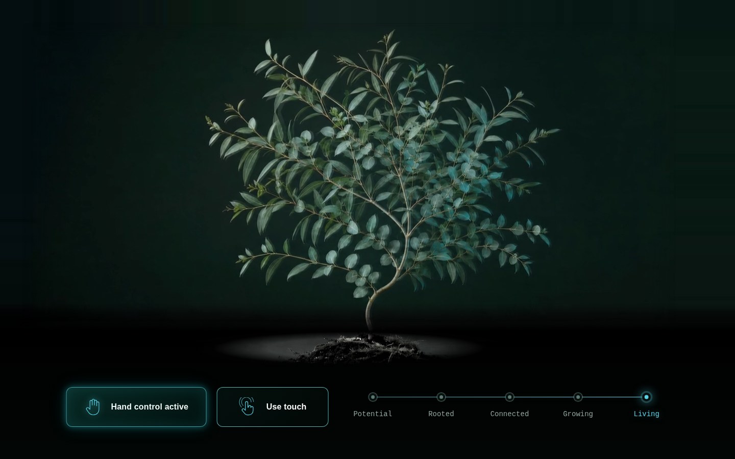 Atimi — Living Grown Clean Version interactive eucalyptus concept