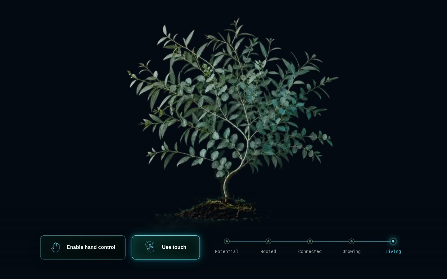 Atimi — Living Growth V3 transparent interactive eucalyptus concept